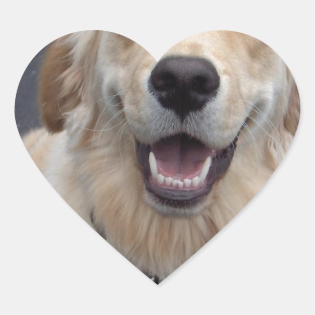 Erstellen Sie Ihre eigenen Ausdrücke! Einfach zu b Herz-Aufkleber (Vorderseite)