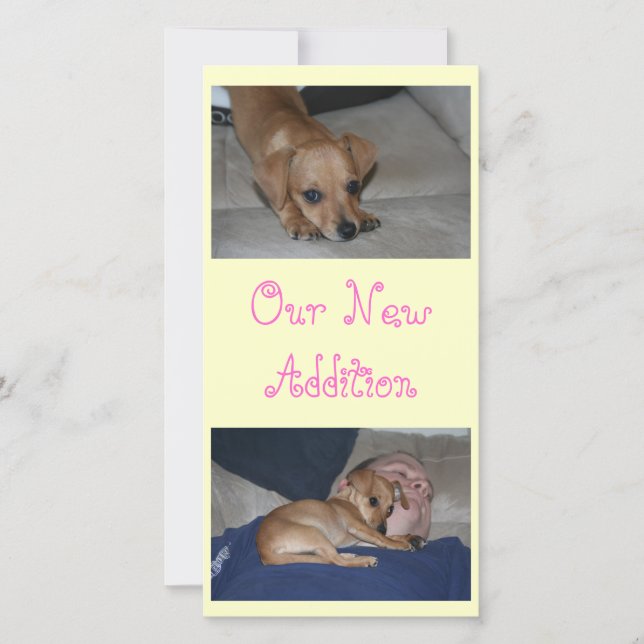 Erstellen Sie Ihre eigenen Fotokarten Ankündigung (Vorderseite)