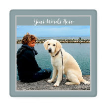 Erstellen Sie Ihre eigenen Fotos für Haustiere