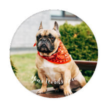 Erstellen Sie Ihre eigenen Fotos für Haustiere