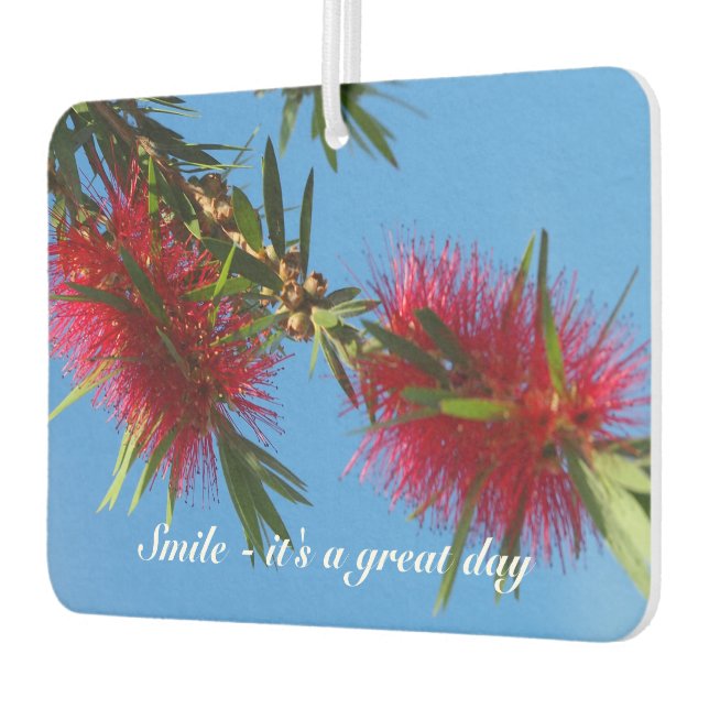 Erstellen Sie Ihre eigenen Lufterfrischer (Links)