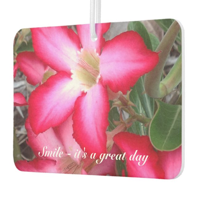 Erstellen Sie Ihre eigenen Lufterfrischer (Links)