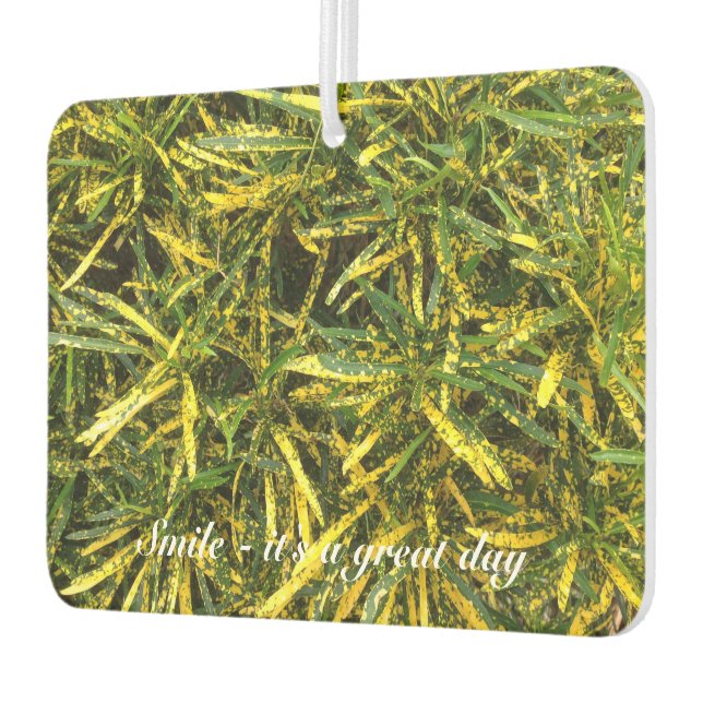 Erstellen Sie Ihre eigenen Lufterfrischer (Links)