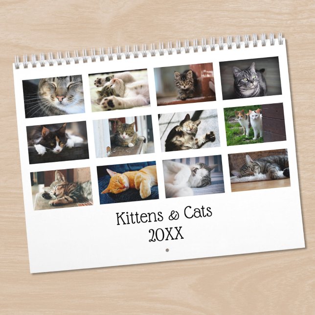 Erstellen Sie Ihre eigenen Niedlichen Katzen Kätzc Kalender (Create Your Own Cute Cats Kittens 2025 Pet Photo Calendar, in situ)