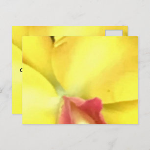 ERSTELLEN SIE IHRE EIGENEN POSTCARDS POSTKARTE