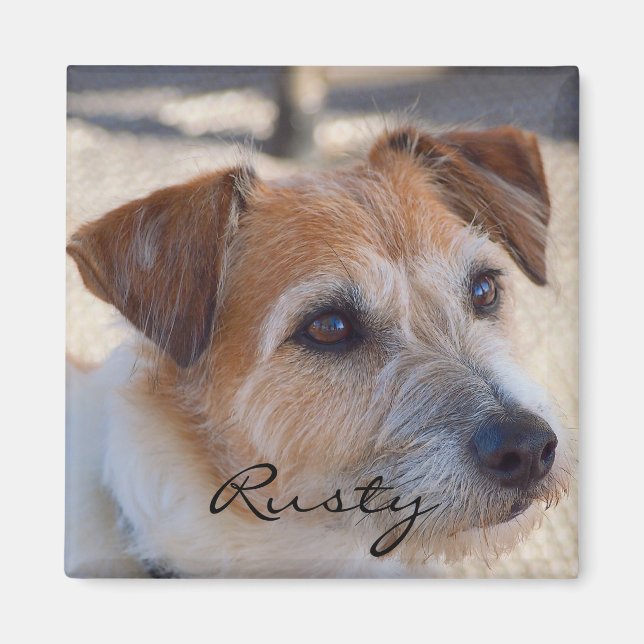 Erstellen Sie Ihren eigenen Foto-Magneten Magnet (Vorne)