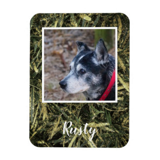 Erstellen Sie Ihren eigenen Foto-Magneten Magnet