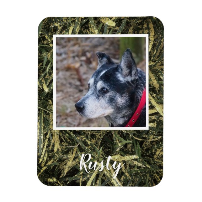 Erstellen Sie Ihren eigenen Foto-Magneten Magnet (Vertikal)