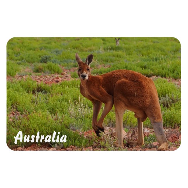 Erstellen Sie Ihren eigenen Foto-Magneten Magnet (Horizontal)