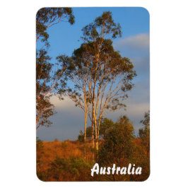 Erstellen Sie Ihren eigenen Foto-Magneten Magnet