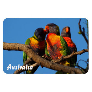 Erstellen Sie Ihren eigenen Foto-Magneten Magnet