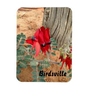 Erstellen Sie Ihren eigenen Foto-Magneten Magnet