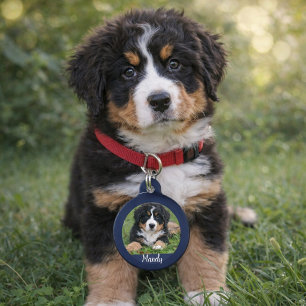 Erstellen Sie Ihren eigenen Hund Foto Name Kontaki Tiernamensmarke