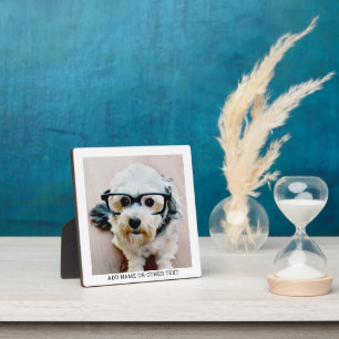 Erstellen Sie Ihren eigenen Single Foto Gallery mi Fotoplatte