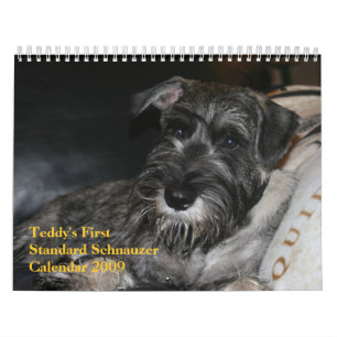 Erster der Standardschnauzer-Kalender 2009 des Kalender