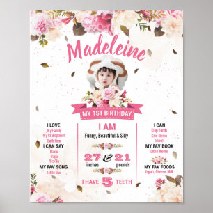 Erster Geburtstag für Baby Girl Poster
