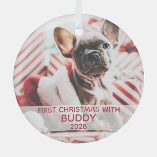 Erster Hund Weihnachts-Foto und Name niedlich Ornament Aus Glas
