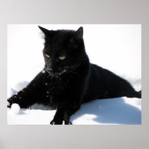 erster Schnee Poster