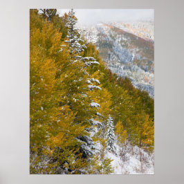 Erster Schnee Poster