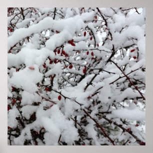 erster Schnee Poster