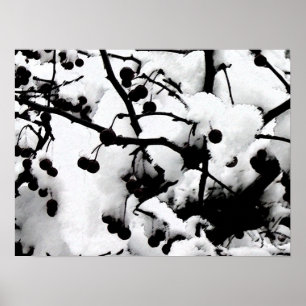 Erster Schnee Poster