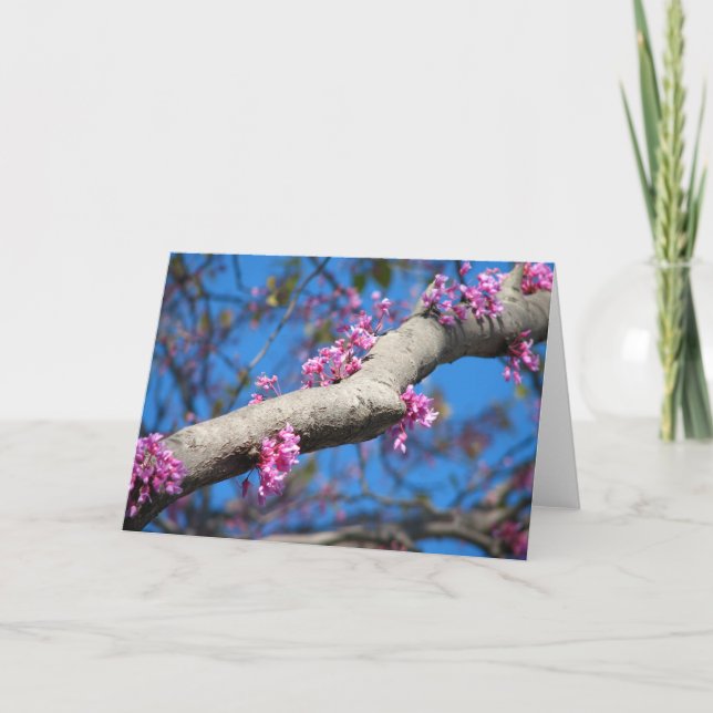 Erster Tag des Frühlinges Karte (Vorderseite)