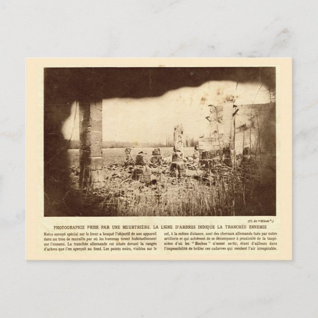 Erster Weltkrieg, Frankreich, Bäume markieren fein Postkarte (Vorderseite)