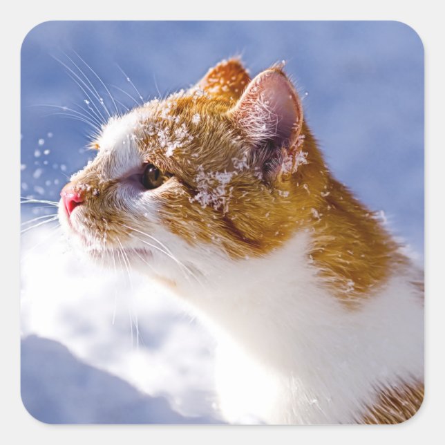 erster Winter Quadratischer Aufkleber (Vorderseite)