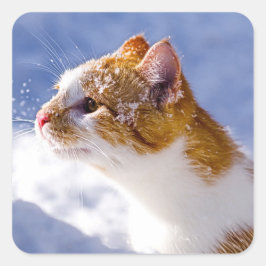 erster Winter Quadratischer Aufkleber