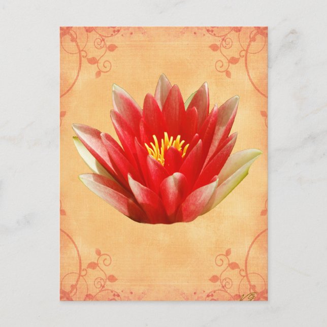 Erstes Chakra-Geschenk Postkarte (Vorderseite)