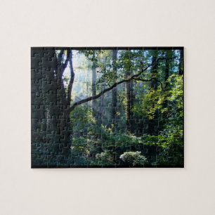 Erstes helles Rätsel Puzzle