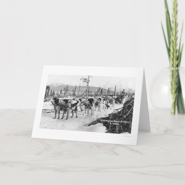 Erstes Hundeteam Alaska 1910 Karte (Vorderseite)