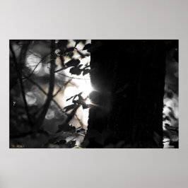 Erstes Licht Bokeh im Waldposter Poster