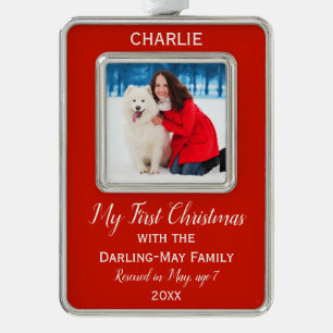 Erstes Weihnachten für Hunde - Personalisiertes Fo Rahmen-Ornament Silber
