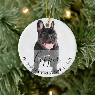 Erstes Weihnachten Haustier 2 Foto Schrift Name Or Keramik Ornament
