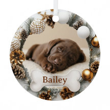 Erstes Weihnachten Süßer Welpe Hund Katze Foto