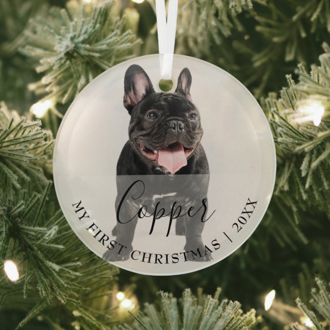 Erstes Weihnachts-Tierfoto-Skript Namensschmuck Ornament Aus Glas (InSitu)