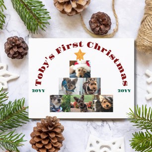 Erstes Weihnachtsfoto des Hundes am Baum, Haustier Feiertagspostkarte