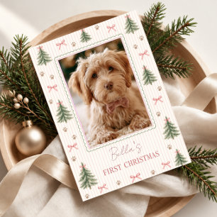 Erstes Weihnachtsfoto des Hundes Feiertagskarte