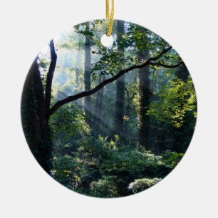 Erstmaliges Ornament