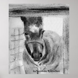 Erstmaliges Out von Lucinda Knowlton Poster