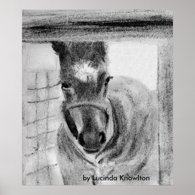 Erstmaliges Out von Lucinda Knowlton Poster (Vorne)