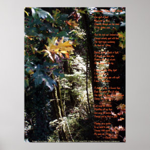 Erwachen des göttlichen Selbst Poster