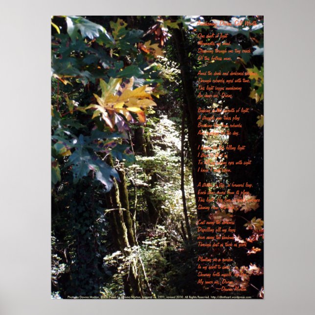 Erwachen des göttlichen Selbst Poster (Vorne)