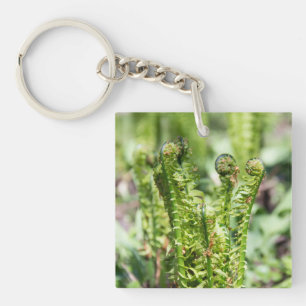 Erwachender junger Farn im Garten   Schlüsselanhänger