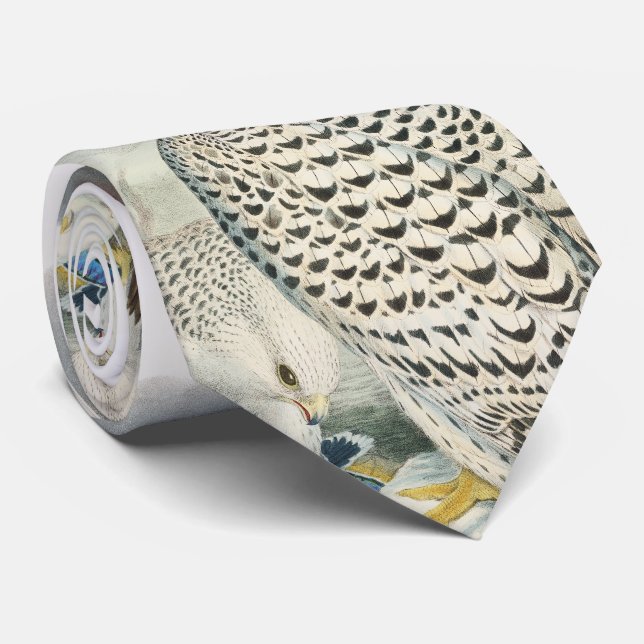 Erwachsene dunkle Grönland-Falke-Vögel von Krawatte (Gerollt)