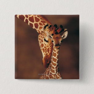 Erwachsene Giraffe mit Kalb (Giraffa Button