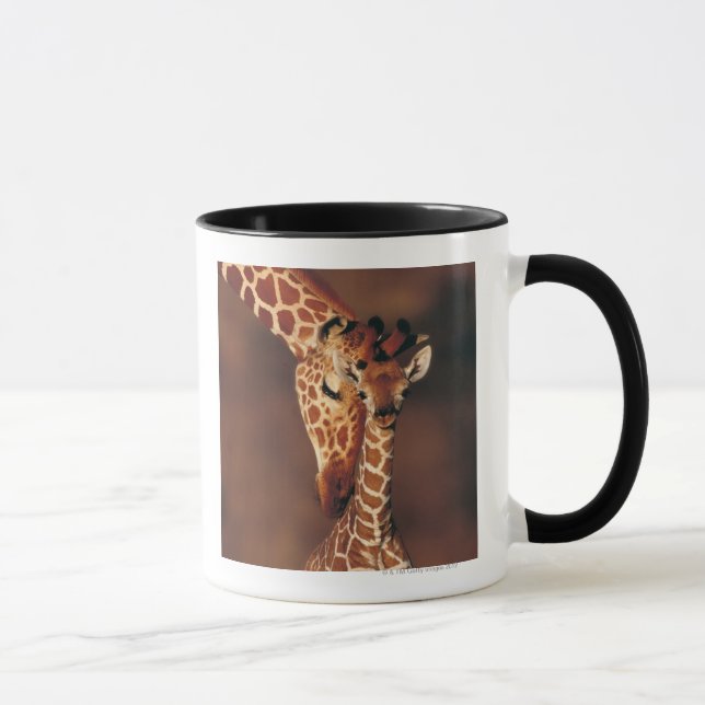 Erwachsene Giraffe mit Kalb (Giraffa Tasse (Rechts)