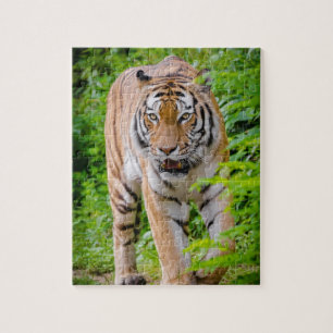 Erwachsene Tiger, die unter hellgrünen Blätter wac Puzzle