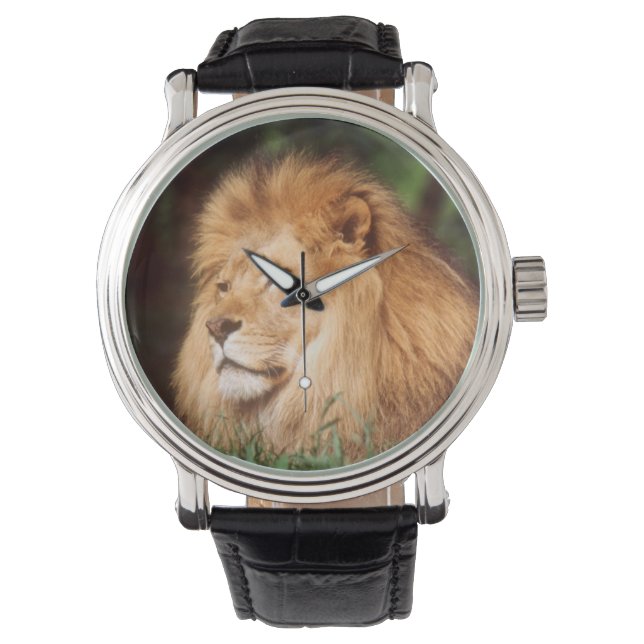 Erwachsener Armbanduhr (Vorderseite)